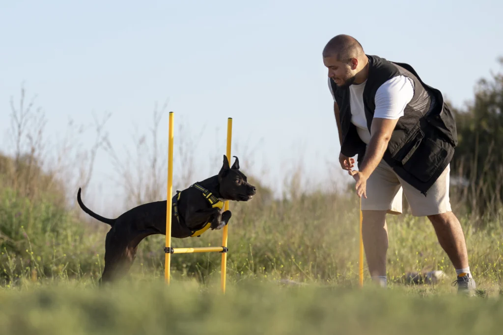 entrenador de perros ensenando al perro correr traves de obstaculos servicios adiestramiento canino Pecone