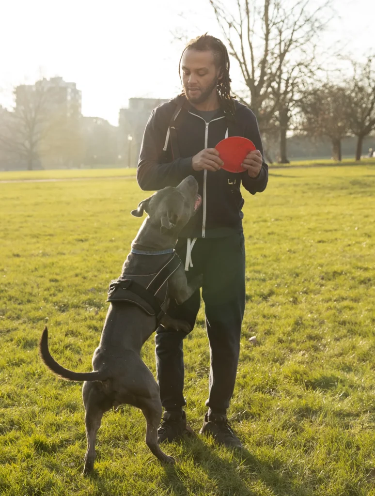hombre de tiro completo jugando con perro al aire libre Adiestradores caninos Pecone
