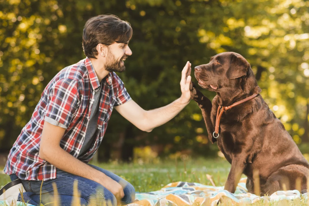 vista lateral d un une un hombre que da cinco su perro en el jardin servicios adiestramiento canino Pecone
